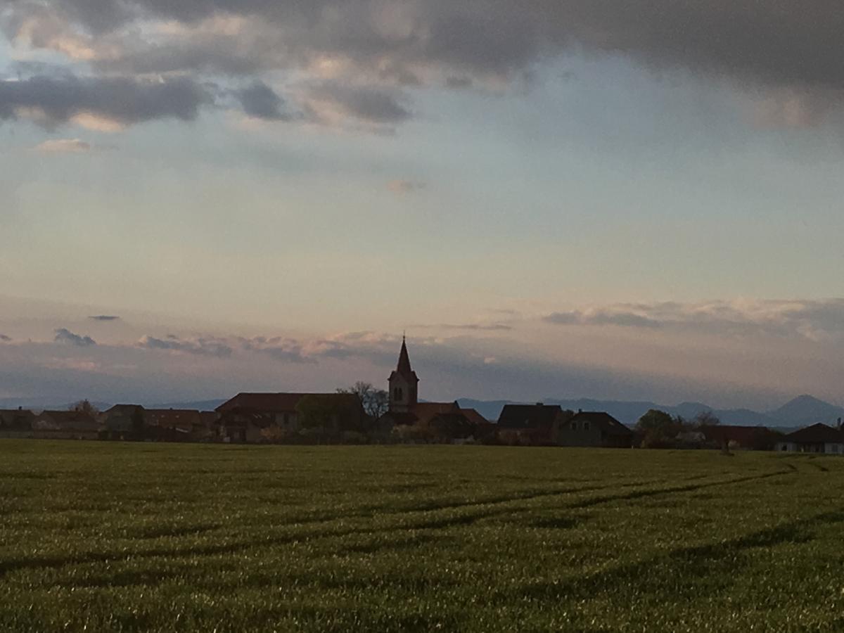 Statek Lunikov Villa Zizice Esterno foto